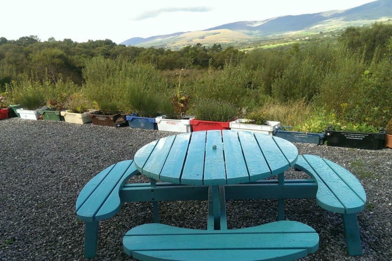 Tranquil Apartment Near Kenmare Lamanagh Eksteriør billede